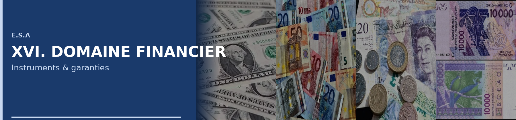Project Finance & Banking